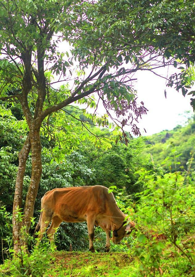 Du Gia NaLien View Homestay Làng Cac Buitenkant foto